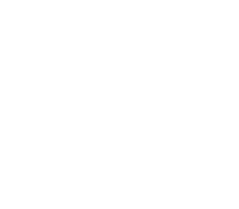 logo-white mt-0